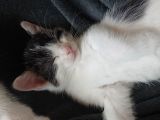 Vorschaubild 7