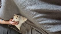 Vorschaubild 1