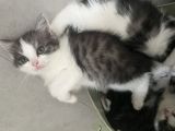 Vorschaubild 2