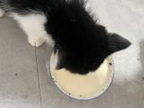 Vorschaubild 8