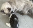 Vorschaubild 9