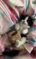 Vorschaubild 10