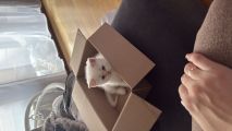Vorschaubild 1
