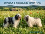 Vorschaubild 9