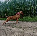 Vorschaubild 6