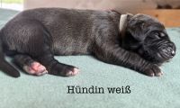 Vorschaubild 6