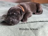 Vorschaubild 5