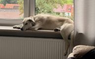 Vorschaubild 1