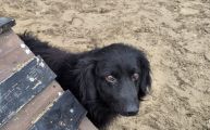 Vorschaubild 6