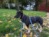 Vorschaubild 1