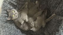 Vorschaubild 8