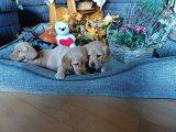Vorschaubild 6