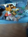 Vorschaubild 7
