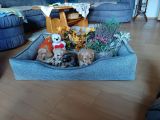 Vorschaubild 1
