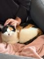 Vorschaubild 5