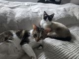 Vorschaubild 9
