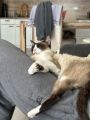 Vorschaubild 4