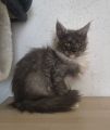 Vorschaubild 7
