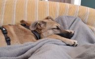 Vorschaubild 5