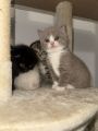 Vorschaubild 6