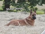 Vorschaubild 5