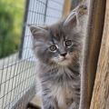 Vorschaubild 6