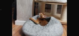 Vorschaubild 3