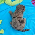 Vorschaubild 6