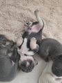 Vorschaubild 3