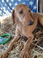 Vorschaubild 7