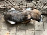 Vorschaubild 6