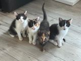 Vorschaubild 7
