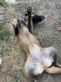 Vorschaubild 5