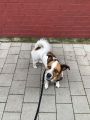 Vorschaubild 5