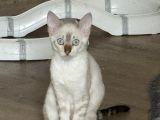 Vorschaubild 9