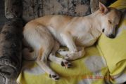 Vorschaubild 7