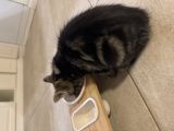 Vorschaubild 5