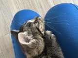 Vorschaubild 2