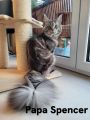 Vorschaubild 9