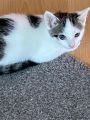 Vorschaubild 7