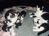 Vorschaubild 1