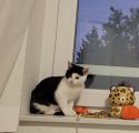 Vorschaubild 5