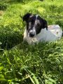 Vorschaubild 1