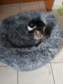 Vorschaubild 4