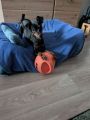 Vorschaubild 4
