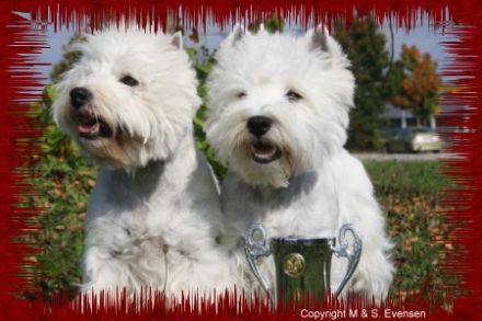 von den Steigerwaldhöh´n