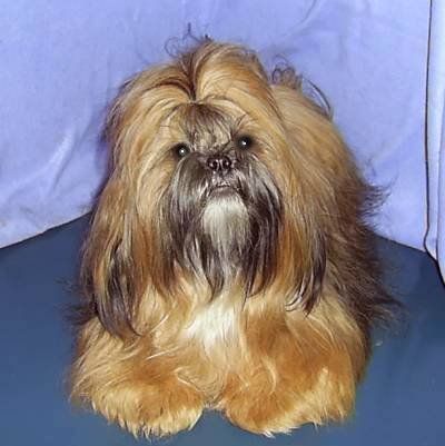 vom kleinen Mandarin