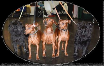 vom Reichsgraf zu Herrenheim