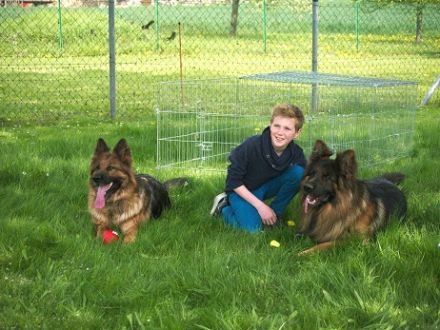 von der Löwengrube seit 1980