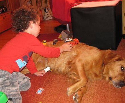 Angel of Karin's golden Family